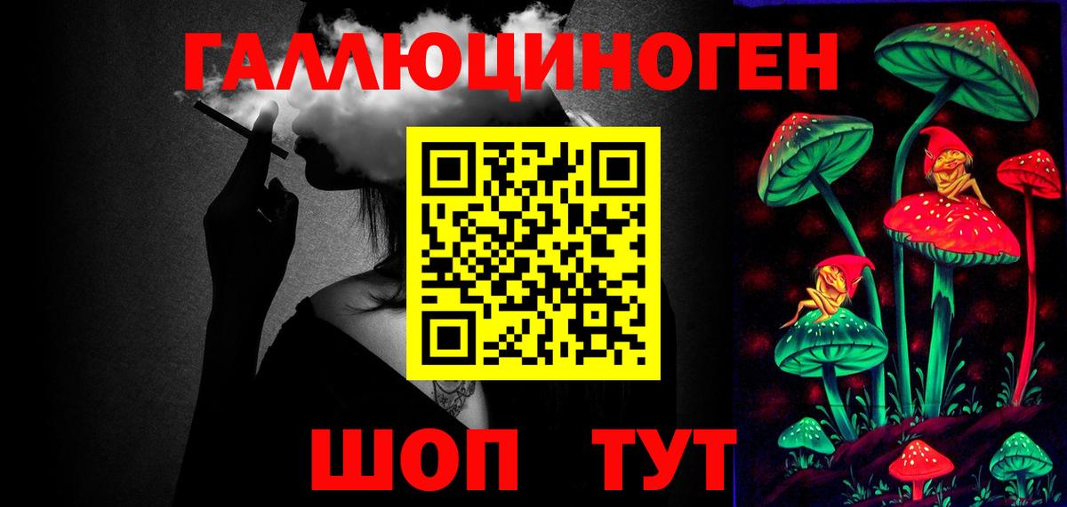 Галлюциногенные грибы GOLDEN TEACHER  где можно купить   Гусев  Вход с VPN 